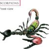 CLCulture Skeleton Model Anatomy Model 4d Insect Anatomy Model Biology Organs Model Puzzle Torso - Image 4