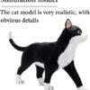 Anatomy Model Skeleton Model Anatomy Model Animal Internal Organs Anatomical Models Cat and Wolf Dog - Image 6