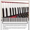 KAFELE 34 Keys/60 Bass Beginner Accordion Adult Professional Performance/Examination/Teaching - Image 5