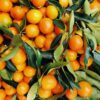 Pile of fresh oranges - 12000 piece wooden puzzle - fun indoor activity, multi-color - Image 2