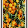 Pile of fresh oranges - 12000 piece wooden puzzle - fun indoor activity, multi-color - Image 4