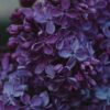 Purple Lilac Flower - 12000 Piece Wooden Puzzle - Birthday Holiday Gift Home Decor - Image 2