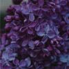 Purple Lilac Flower - 12000 Piece Wooden Puzzle - Birthday Holiday Gift Home Decor - Image 3