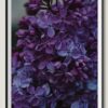 Purple Lilac Flower - 12000 Piece Wooden Puzzle - Birthday Holiday Gift Home Decor - Image 4