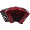 Professional Piano Accordion 22 Keys 8 Bass, Adjustable Straps, International Standard Professional - Image 2