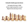 ksamwjf Board Game Set, Magnetic Glass Chess, Classic Chess Set, With Wooden Chess Board ＆ Pieces - Image 5