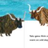 World of Eric Carle: Electronic Activity Pad and 8 - Image 11