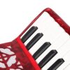 22 Key 8 Bass Professional Piano Accordion, Adjustable Straps Musical Instrument, For Kids Beginners - Image 6