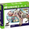 UNBANE 6.5In Hight Dog Anatomy Model 4D Vision Puzzle Assembled Model Toys Animal Anatomy Torso - Image 5