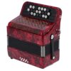 Professional Piano Accordion 22 Keys 8 Bass, Adjustable Straps, International Standard Professional - Image 3
